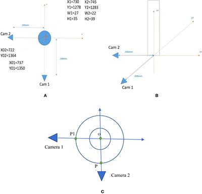A novel 3D insect detection and monitoring system in plants based on deep learning